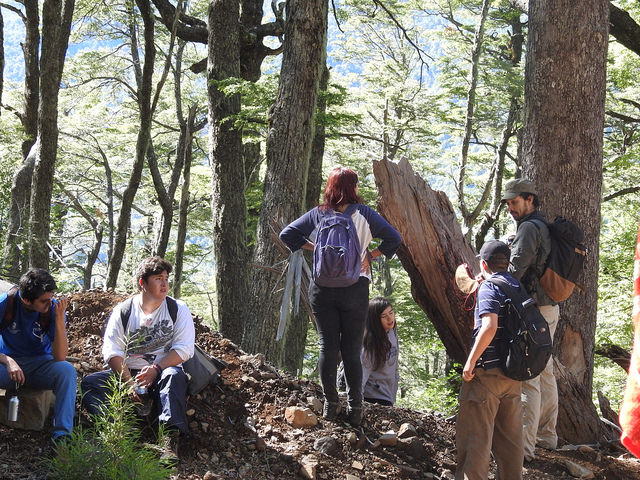 Alumnos del Programa de Talentos SIP participan en Campamento de Verano